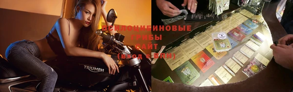 наркотики Карпинск